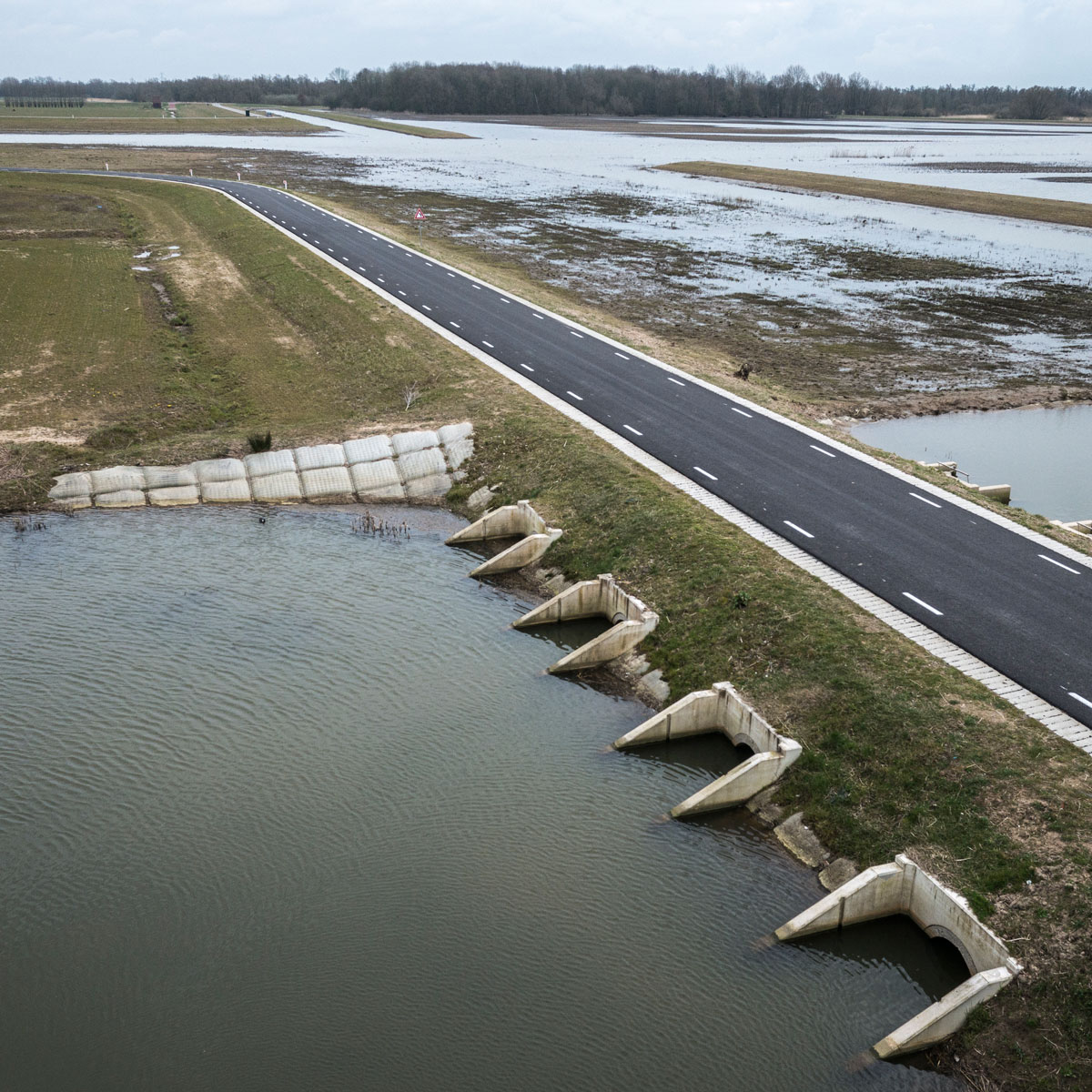 A new dike reopens some of the historic floodplain of the Rhine River (R) near Nijmegen, the Netherlands from still-protected land (L). A new dike reopens some of the historic floodplain of the Rhine River (R) near Nijmegen, the Netherlands from still-protected land (L).