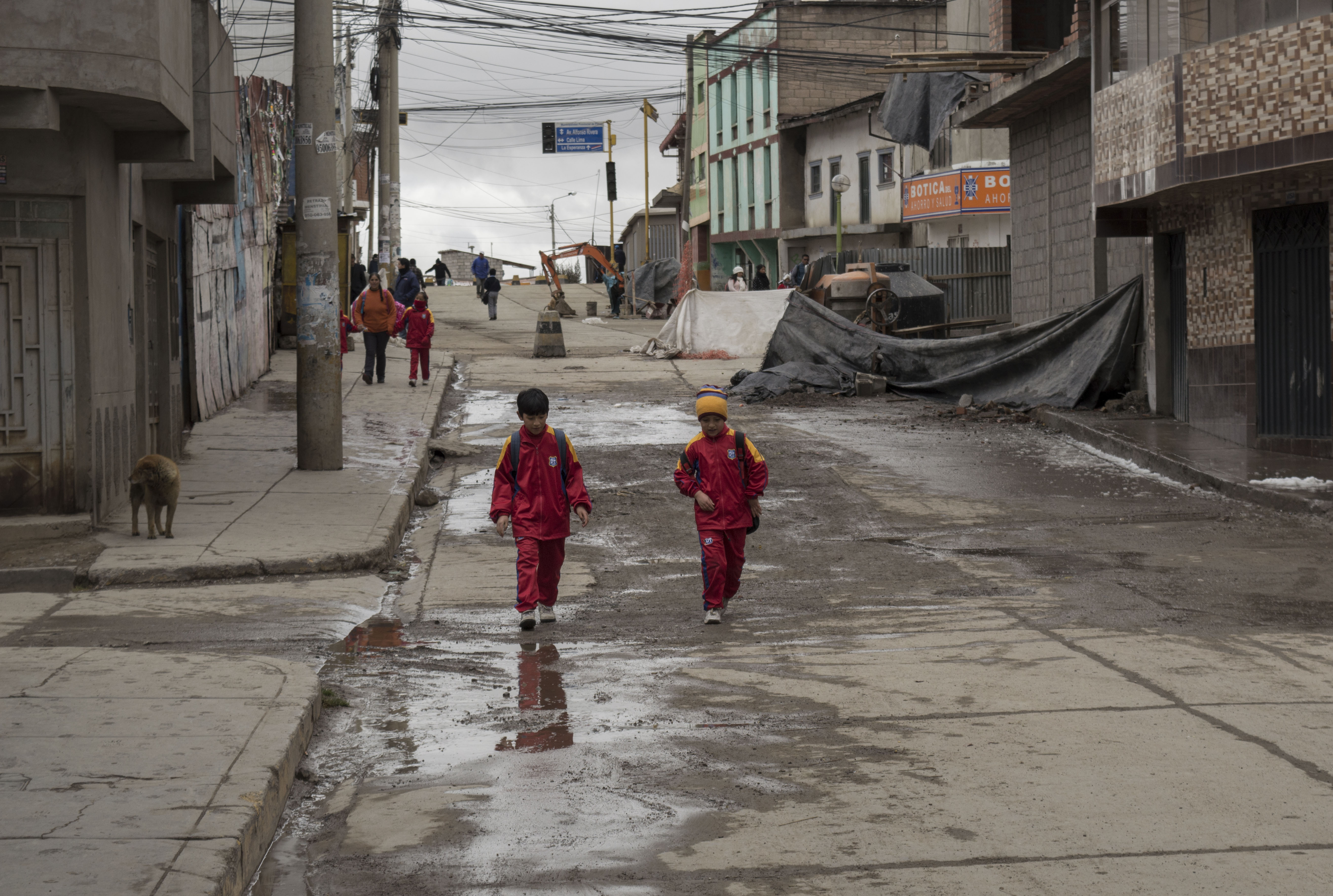 Local authorities say heavy-metal pollution has caused mental retardation, genetic malformations and brain damage, which ultimately leads to death if untreated, according to Peru's environmental regulator.