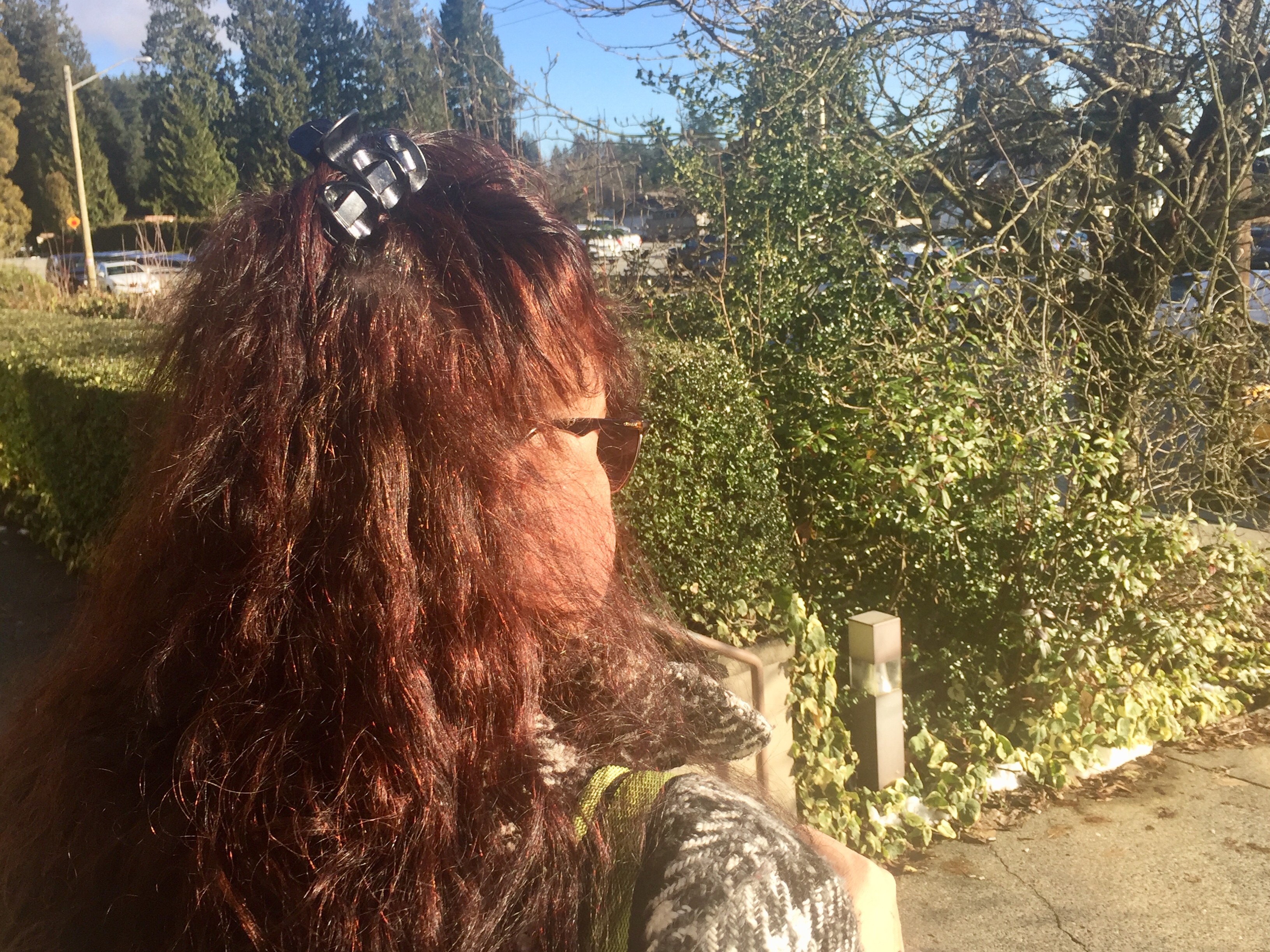 This woman was given a 12-month probationary sentence in First Nations Court at the North Vancouver Provincial Court. The profile of a women with long reddish brown hair.