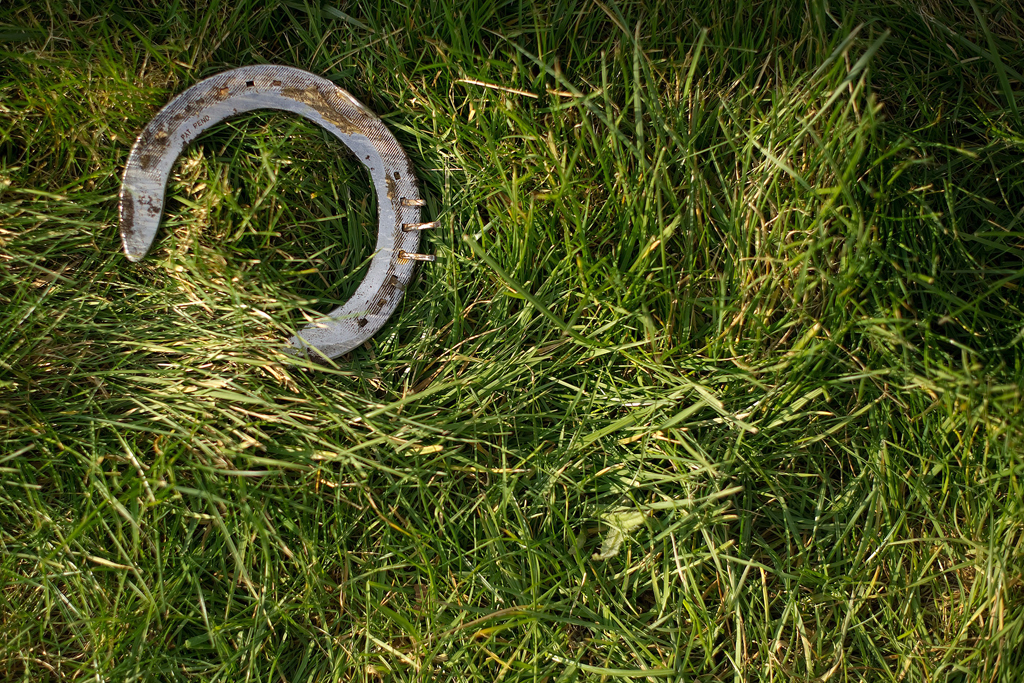 Horse meat burgers saddle UK with menu of problems The World from PRX