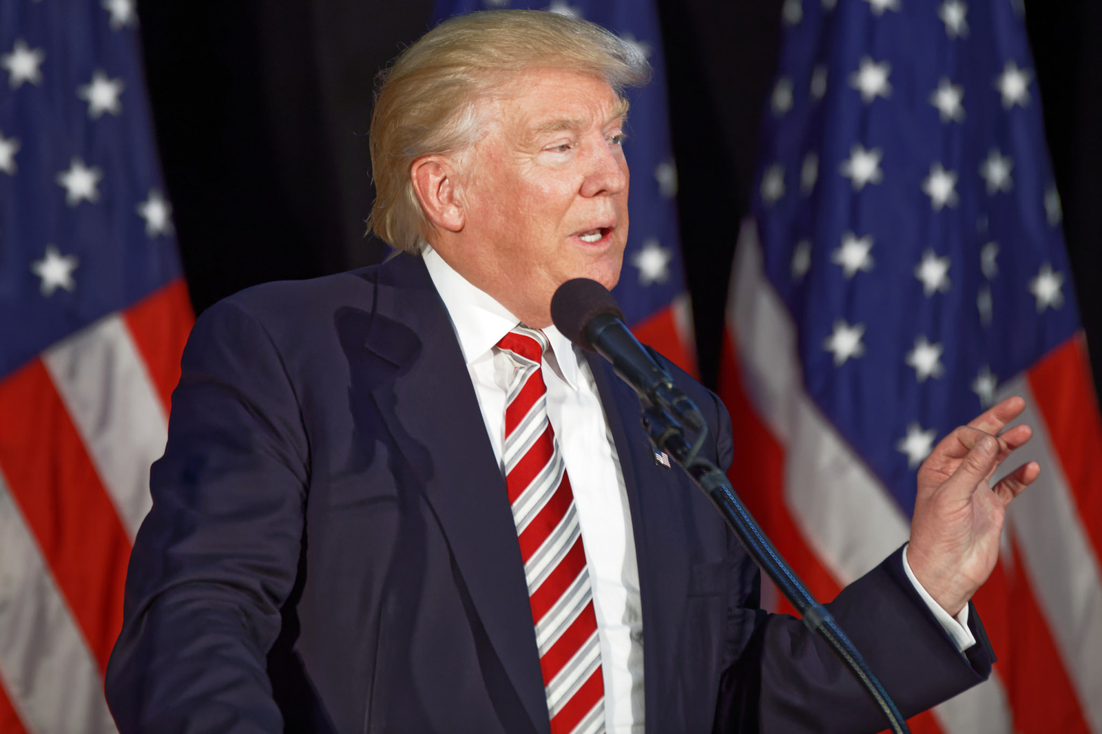 President Trump President Trump caused headlines after referring to group of Latino immigrants as "animals" on Wednesday. He said he was only referring to members of the gang MS-13.