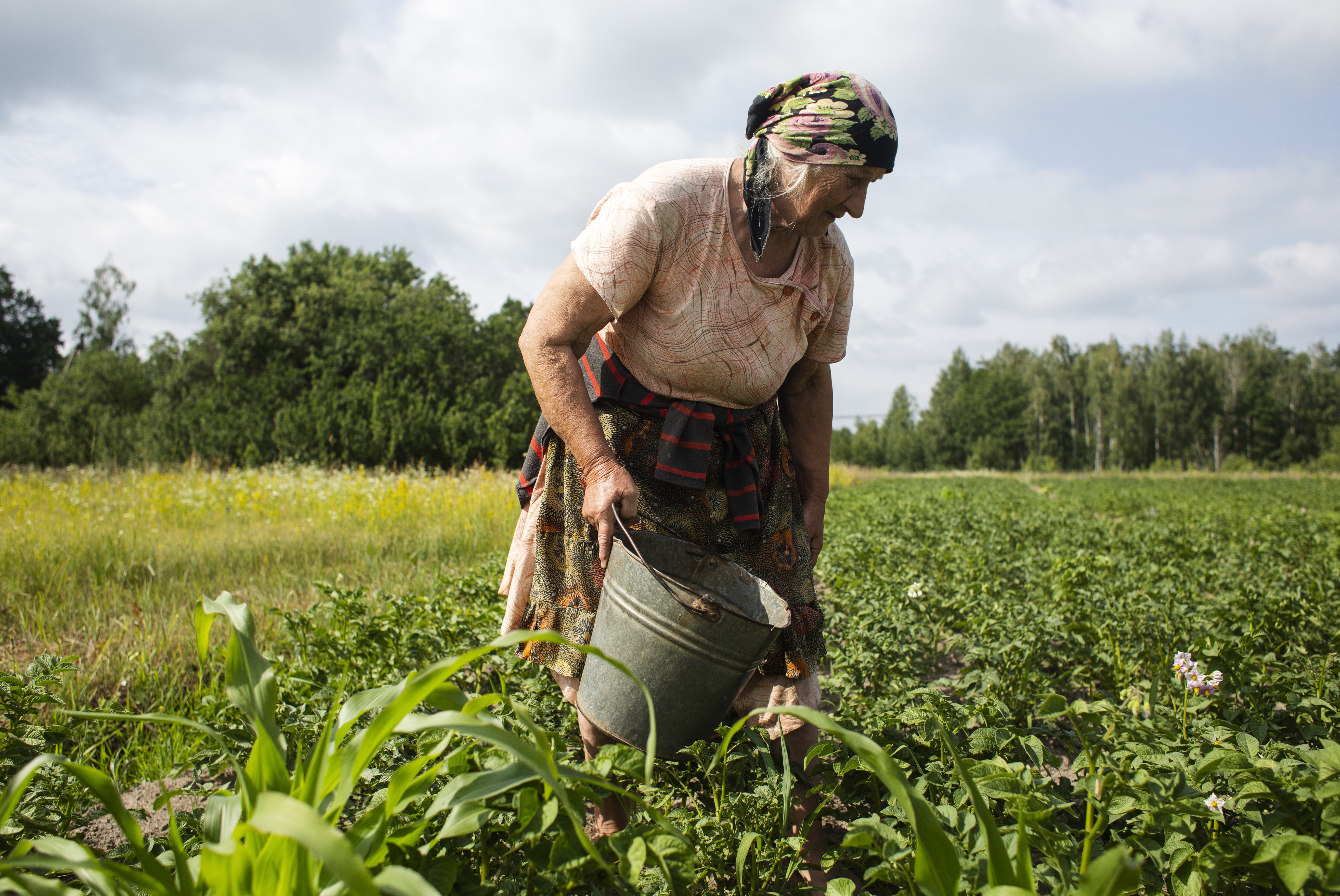 a woman in a field