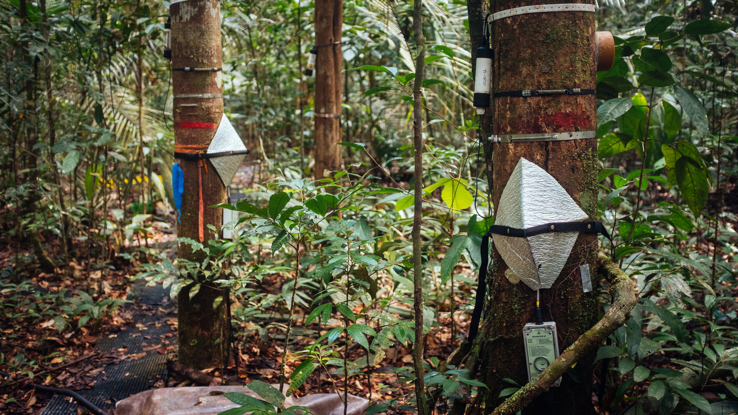 The Amazon used to be a hedge against climate change. Those days may be ...