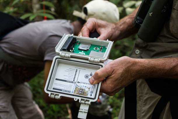 Listening to forests could aid conservation efforts around the world ...