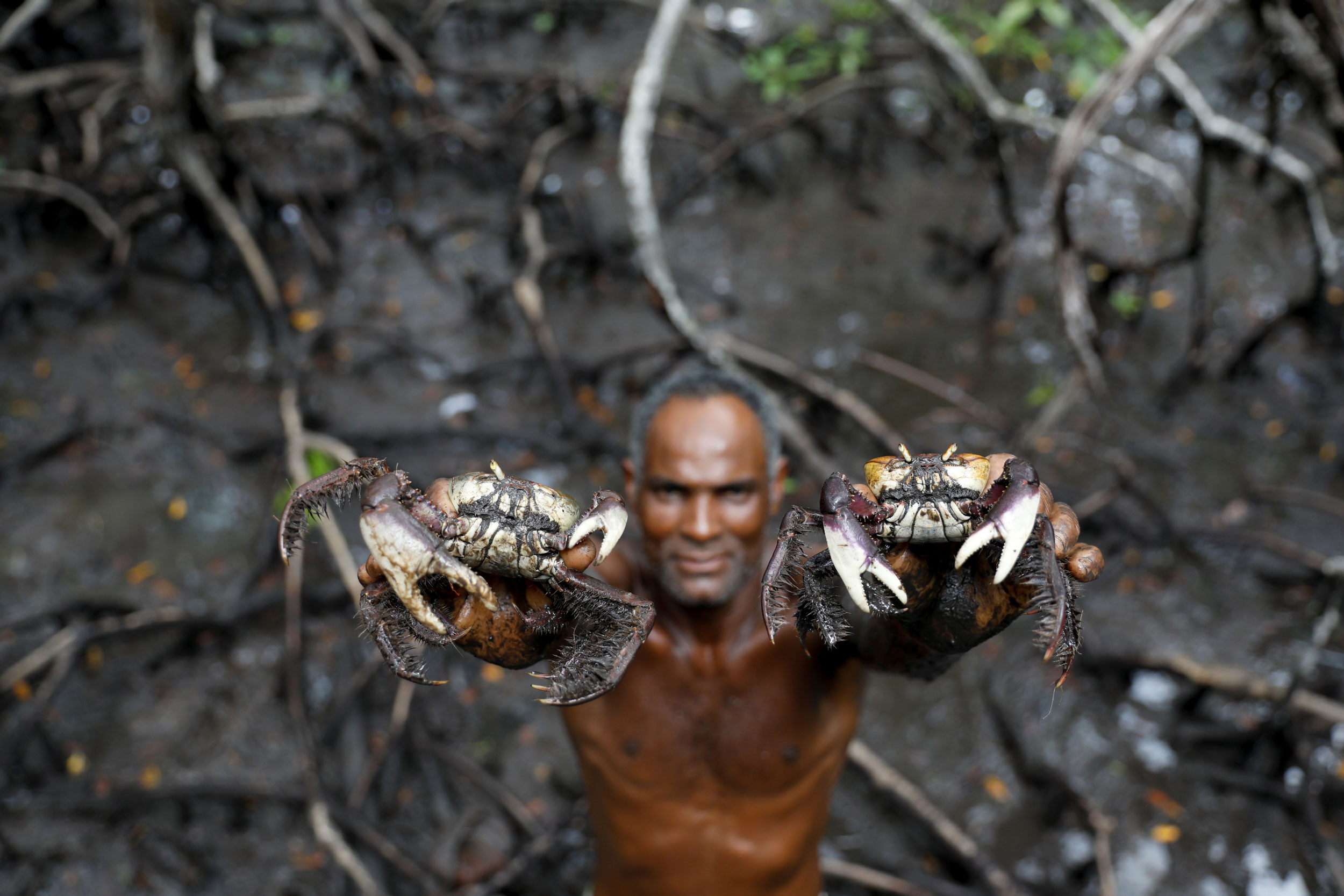 Cruz holds crabs that he caught inside mangrove forests. A man is shown without a shirt on holding a crab in each hand above his head.