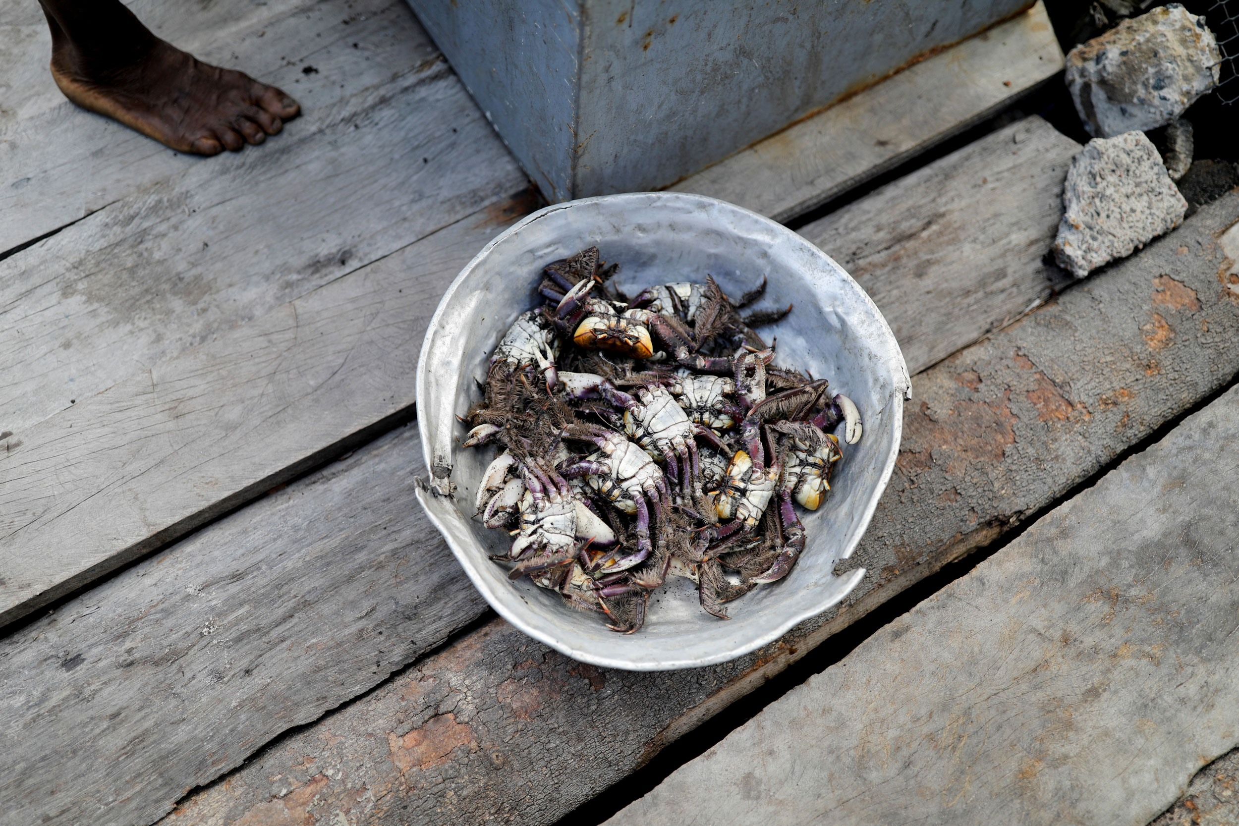 Cruz stands next to a tub with crabs outside his house. A bowl of crabs is shown sitting on a wooden porch.