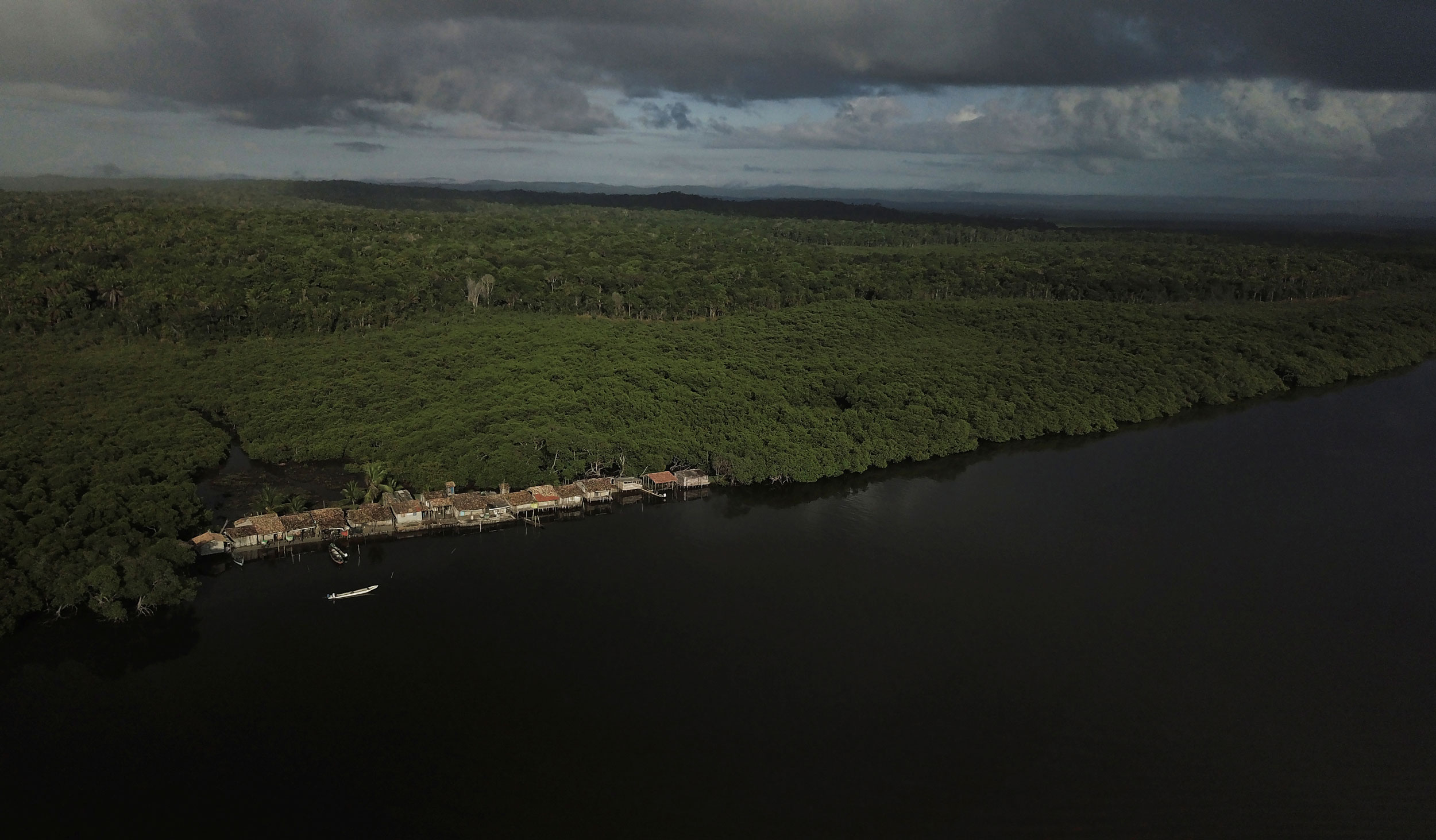 The Train community. A photograph taken from above shows a small village set alongside a mangrove forest.