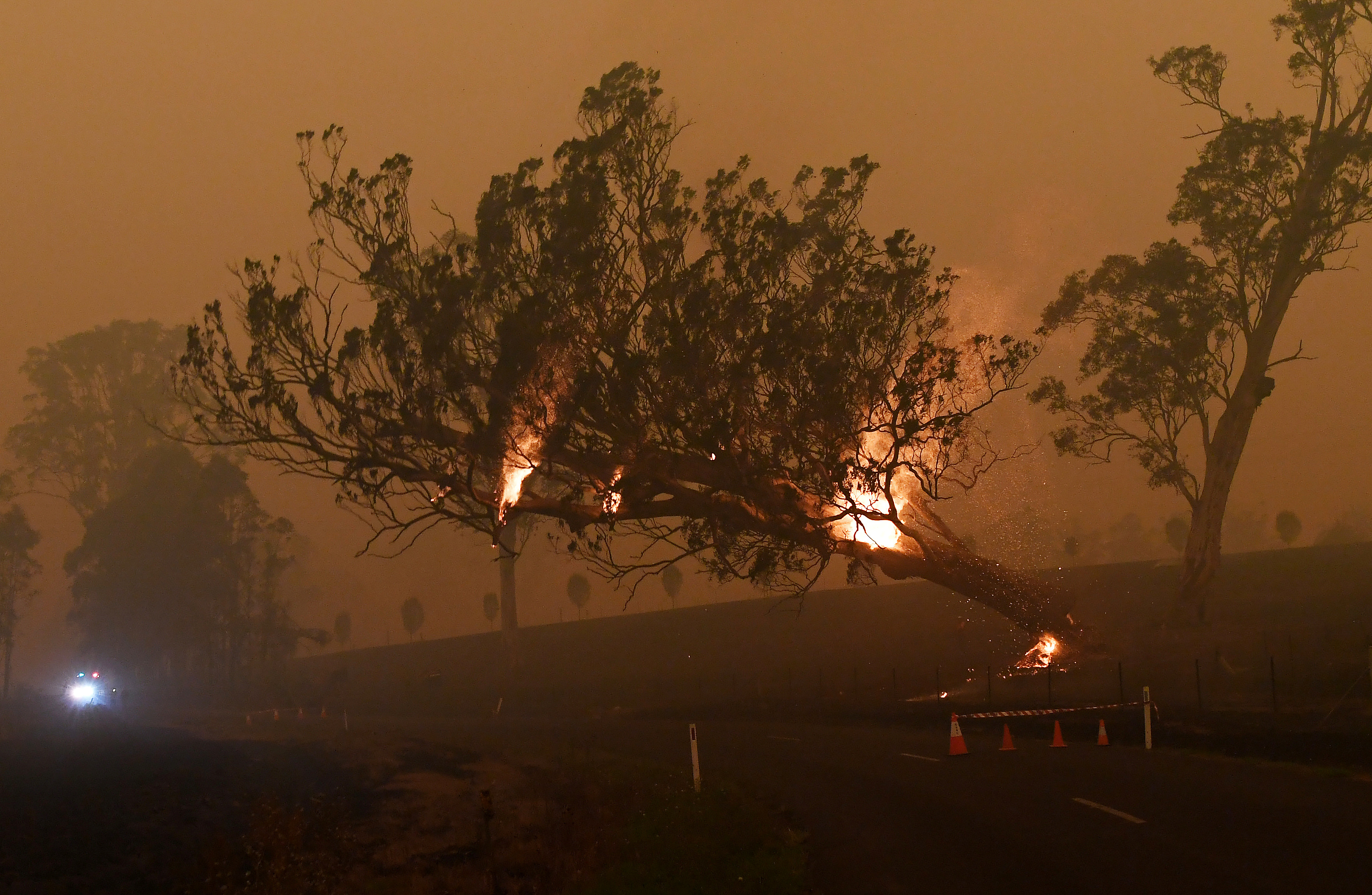 Wildfires in Australia have destroyed more than 3,000 homes and razed more than 10.6 million hectares since September. A burning gum tree is felled to stop it from falling on a car in Australia.