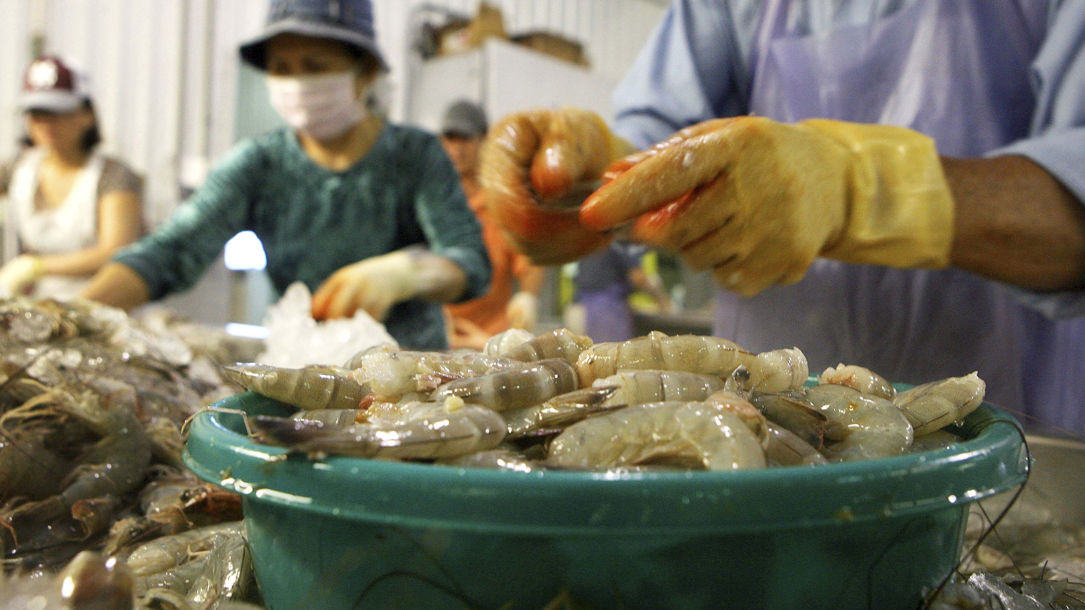 US seafood workers fight unsafe job conditions amid pandemic - The ...