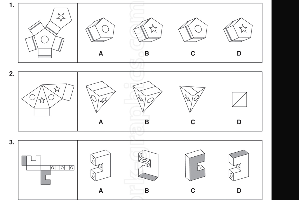 Mensa accepts 4-year-old genius with IQ just below Einstein - The World