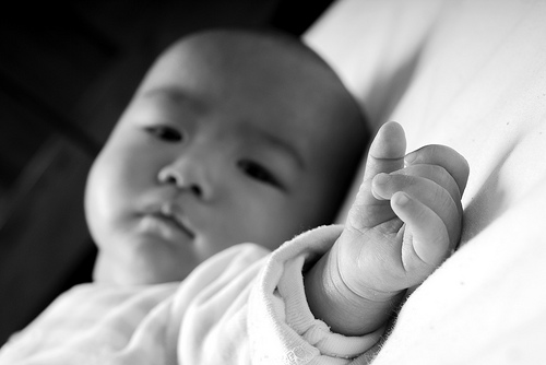 China invites children adopted to US to return to their roots - The ...