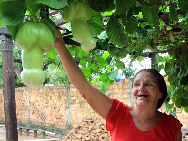 Brazil, putting the penis in passion fruit - The World from PRX