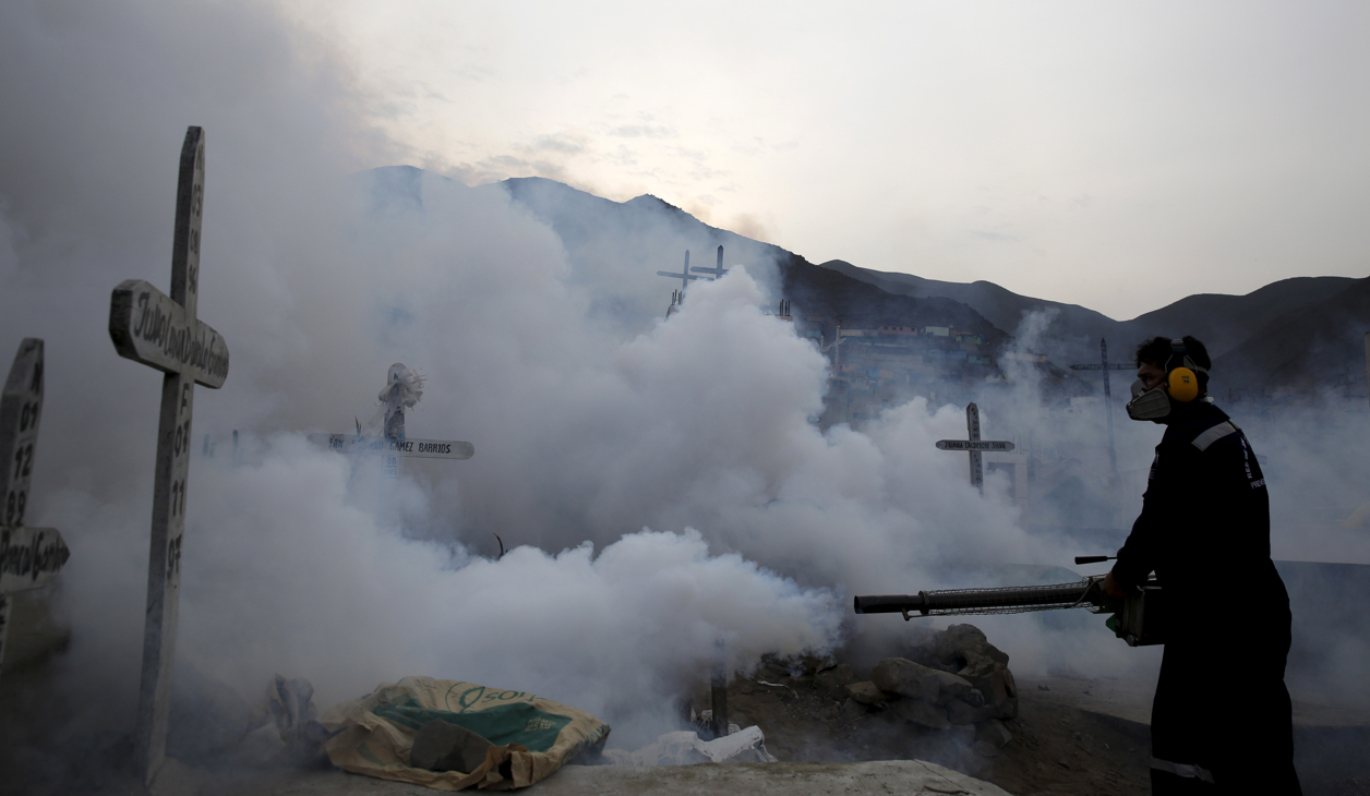 WHO declares the Zika virus a global health emergency - The World from PRX