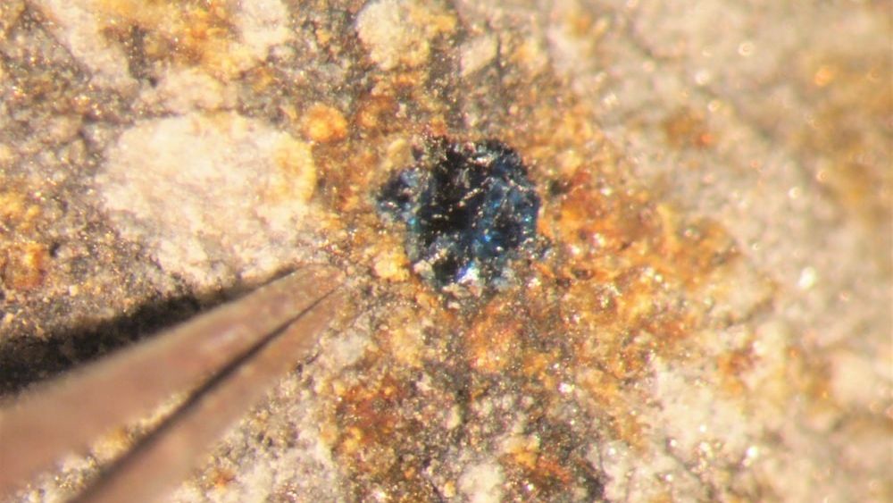 Blue salt crystals on meteorites stoke conversation about ...