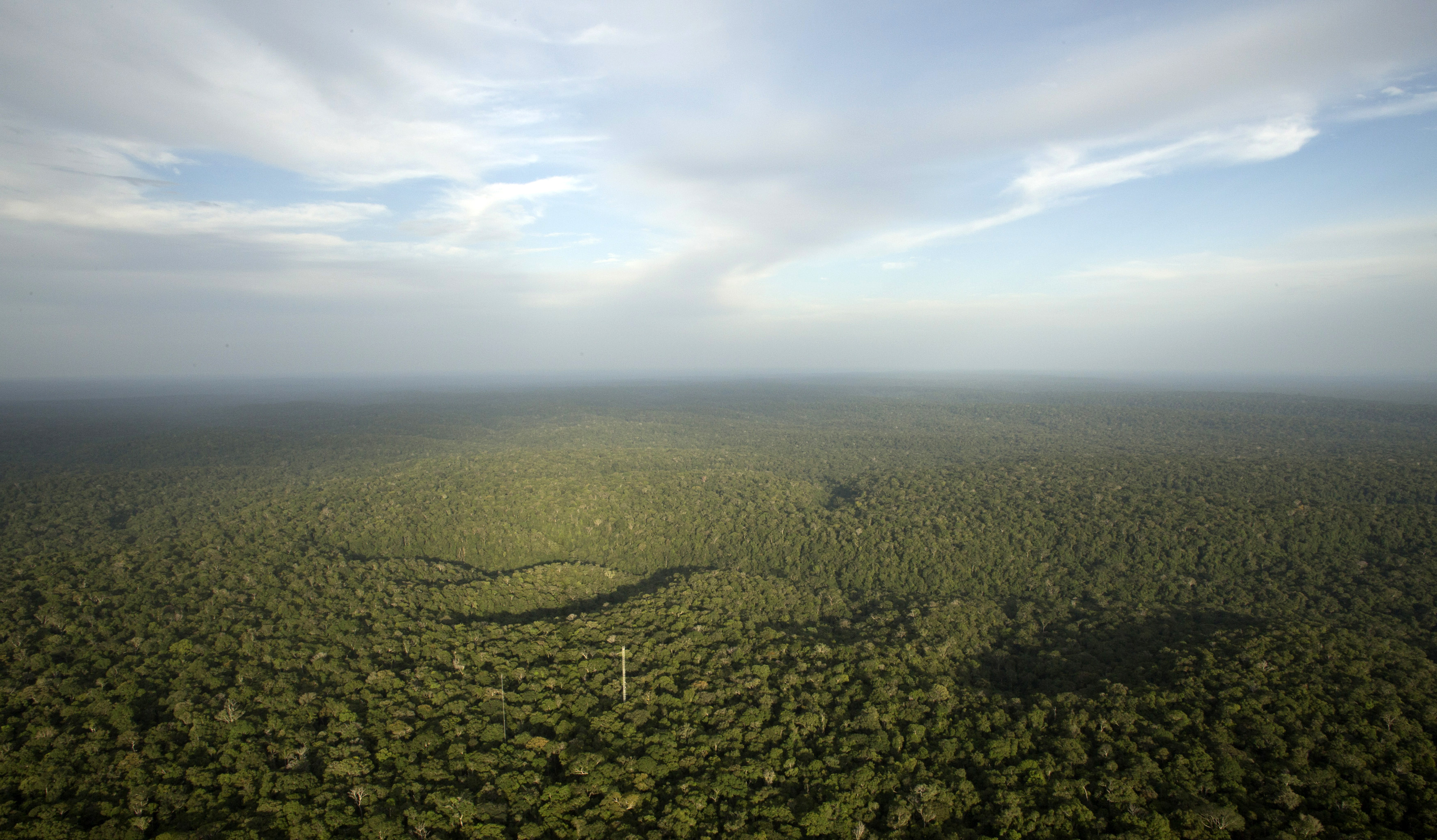 Amazon Rainforest