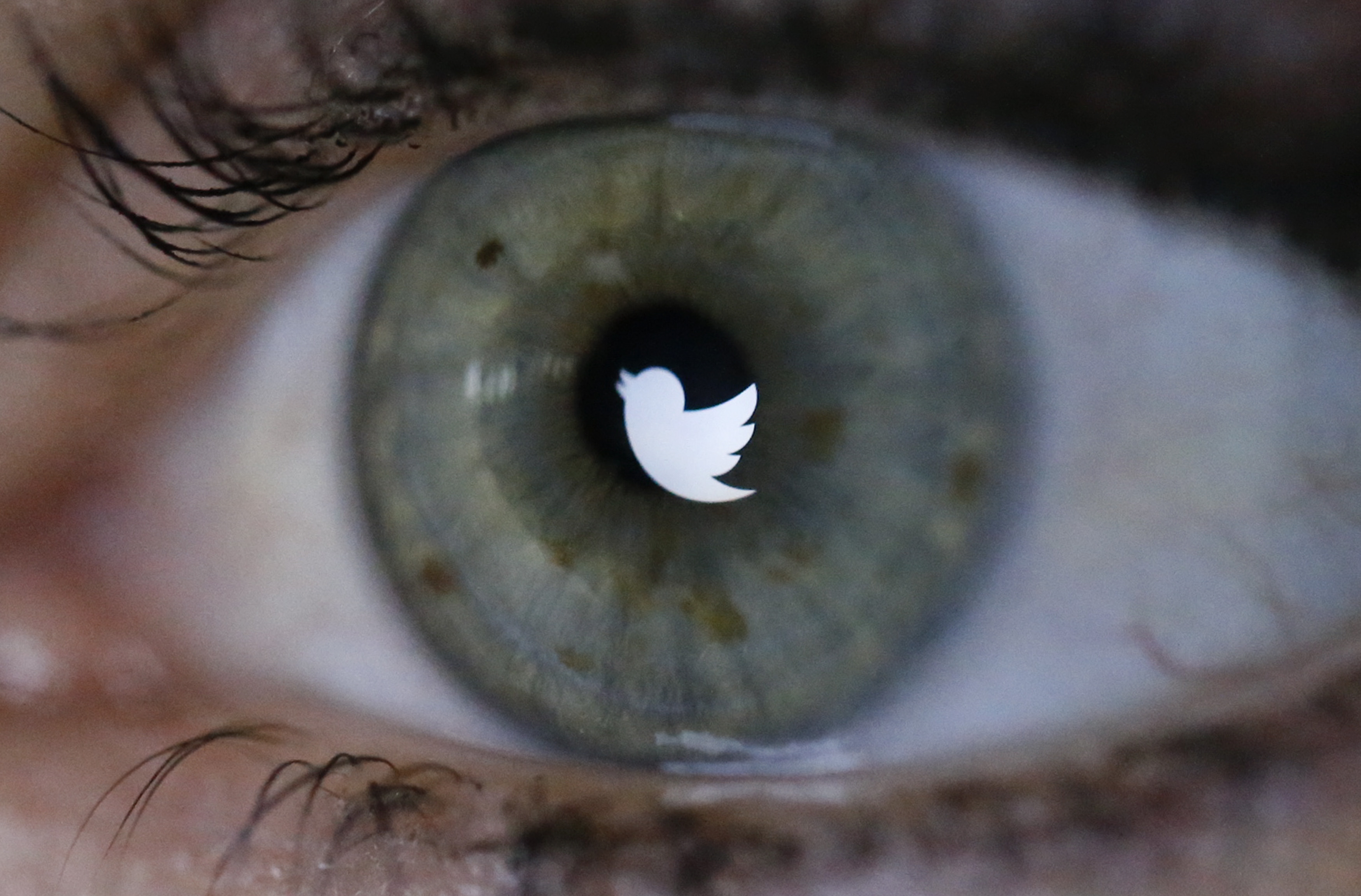 An illustration picture shows the Twitter logo reflected in the eye of a woman in Berlin. An illustration picture shows the Twitter logo reflected in the eye of a woman in Berlin.