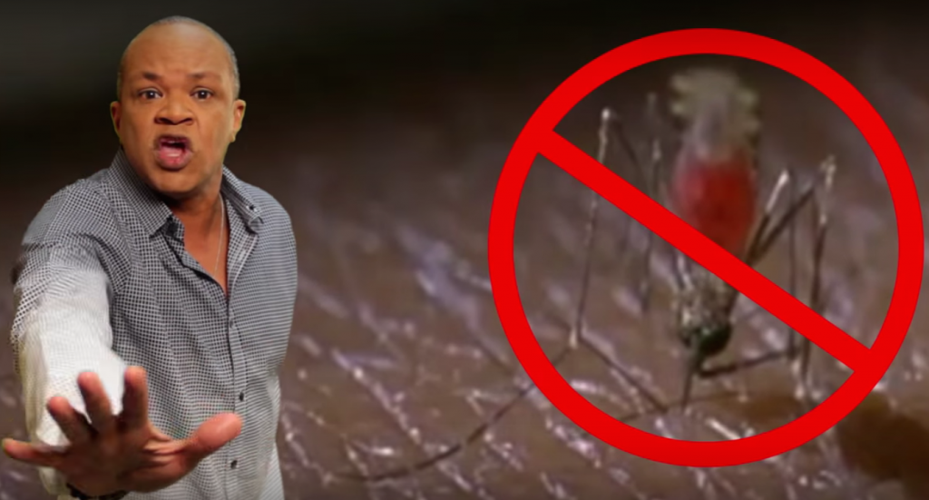 This has to be the catchiest dancehall tune ever about a mosquitoborne
