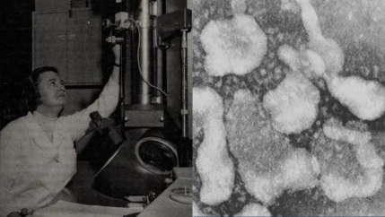 Composite of 2 pictures. One of a woman in front of a microscope and the second one of the coronavirus.