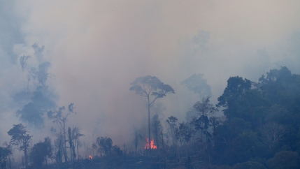 An aerial view of a tract of Amazon jungle burning as it is cleared by farmers in Itaituba, Para, Brazil, Sept. 26, 2019.