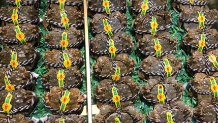 Yangcheng Lake hairy crabs for sale. 