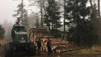 This forest in a region of Austria known as the wood quarter is managed according to “close-to-nature” practices, or Pro Silva standards.