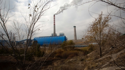 A smokestack burns in the distance of a rugged area with dried leaves and grass. 