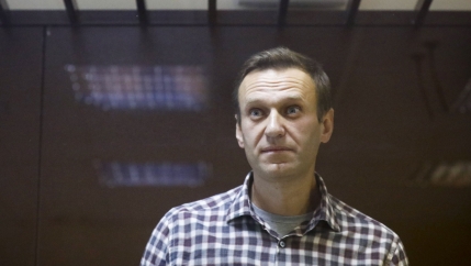 Alexei Navalny wears a plaid shirt and looks a bit startled with his eyes widened at the camera. 