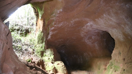 Almost 2,000 paleoburrows have been found across South America, mostly in the Brazilian states of Santa Catarina and Rio Grande do Sul, which border Uruguay and Argentina.