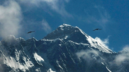 Birds fly above Mount Everest against a blue sky