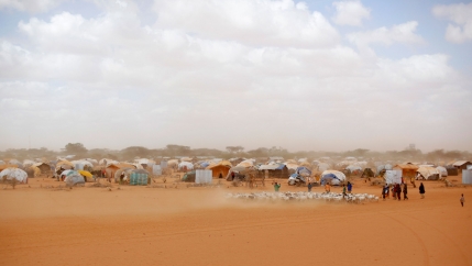 A large number of tents and other shelters are show in the distance with a group of people herding animals in the nearground.