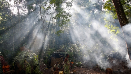 Shafts of sunlight filtering through the forest canopy strike smoke from fires burning outside family huts at an Mbuti pygmy hunting camp in the Okapi Wildlife Reserve outside the town of Epulu, Congo