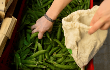 resuable bags at a grocery store