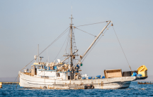 un barco de pesca en el mar de cortez en Mexico