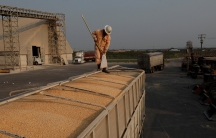 An employee takes samples of corn imported from Brazil for a quality test at a warehouse in the terminal port of Portimex in Tuxpan, in Veracruz state, Mexico, Feb. 21, 2018. 