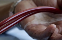 South Africa Rationing Health