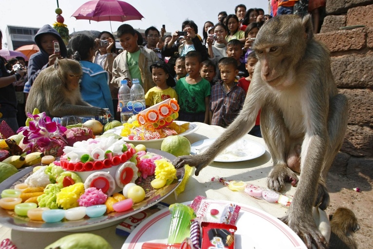 Thailand's Monkey Buffet Festival through the years The World from PRX