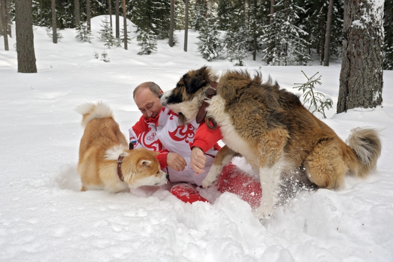 Vladimir Putin shows softer side walking his pet dogs Public Radio