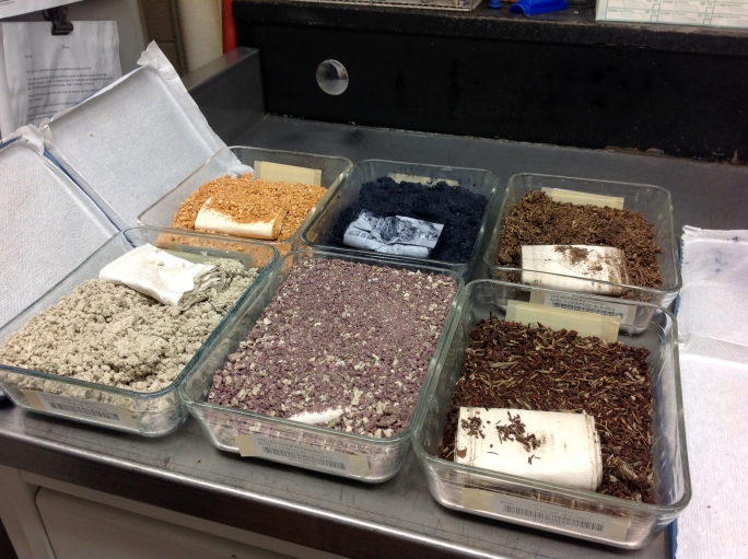 Scientists search Palau's coral reefs for new anticancer drugs