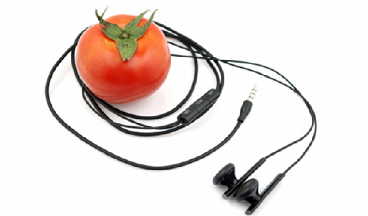 Does Sound Affect the Way We Taste? The World from PRX