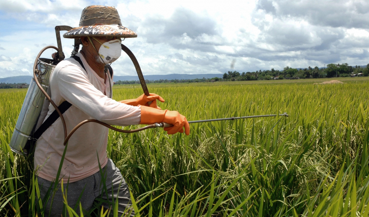 ядохимикаты в сельском хозяйстве. ядохимикаты для растений. пестициды ядохимикаты. пестициды инсектициды гербициды. пестициды и гербициды.