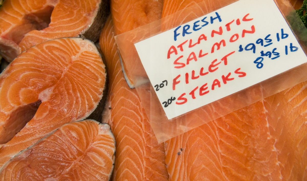 AquAdvantage biotech salmon moves step closer to FDA approval The