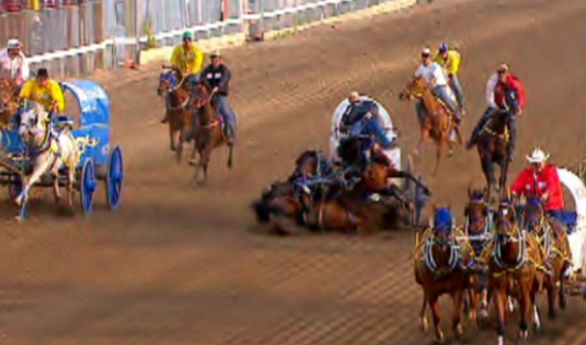3 horses killed in Calgary Stampede race (VIDEO) The World from PRX