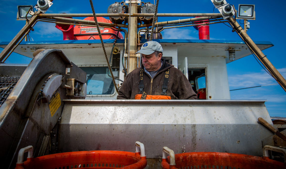 The future of fishing is big data and artificial intelligence