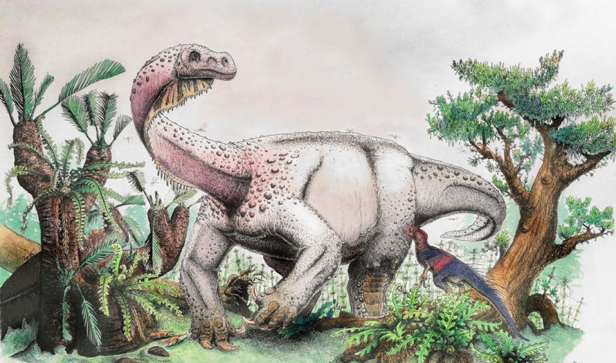 an illustration of a dinosaur