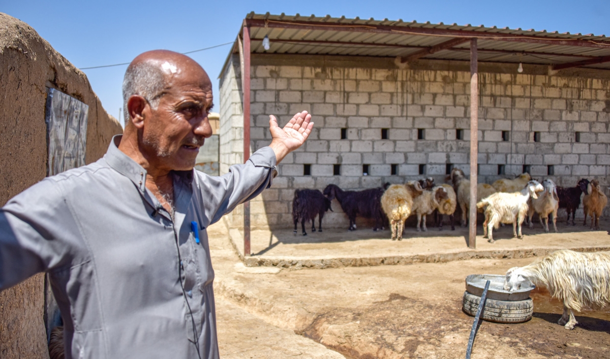 Drought in Iraq and Syria could totally collapse food system for millions, aid groups warn - The World