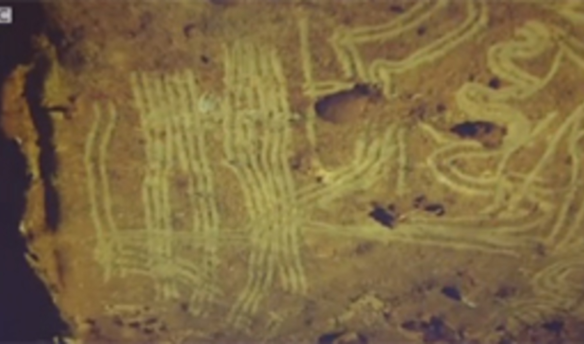 Prehistoric Cave Drawings 'Made by Children' | The World from PRX