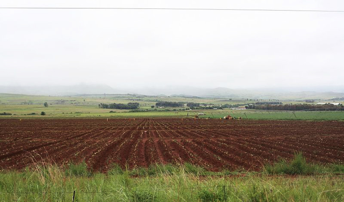 Global Hedge Funds Buying Land in Africa | Public Radio ...