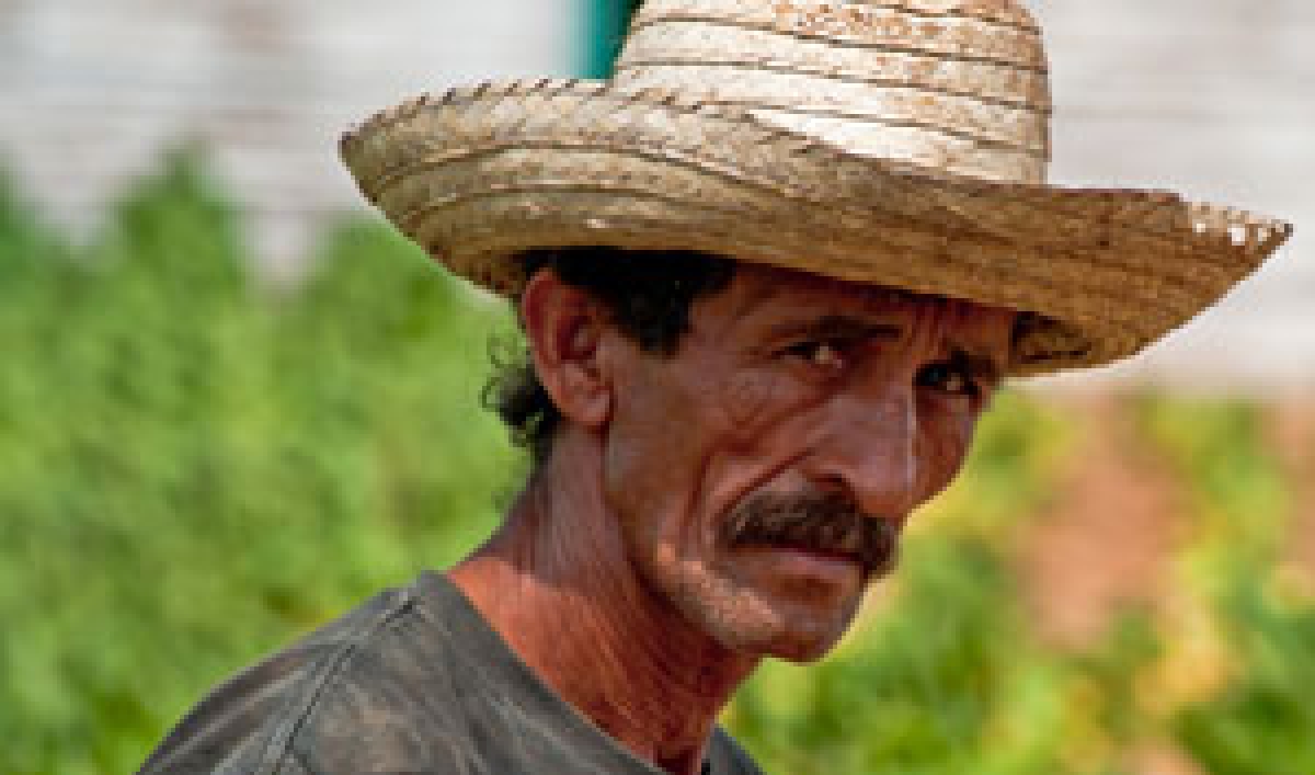 Cuba cuts a half million jobs The World from PRX
