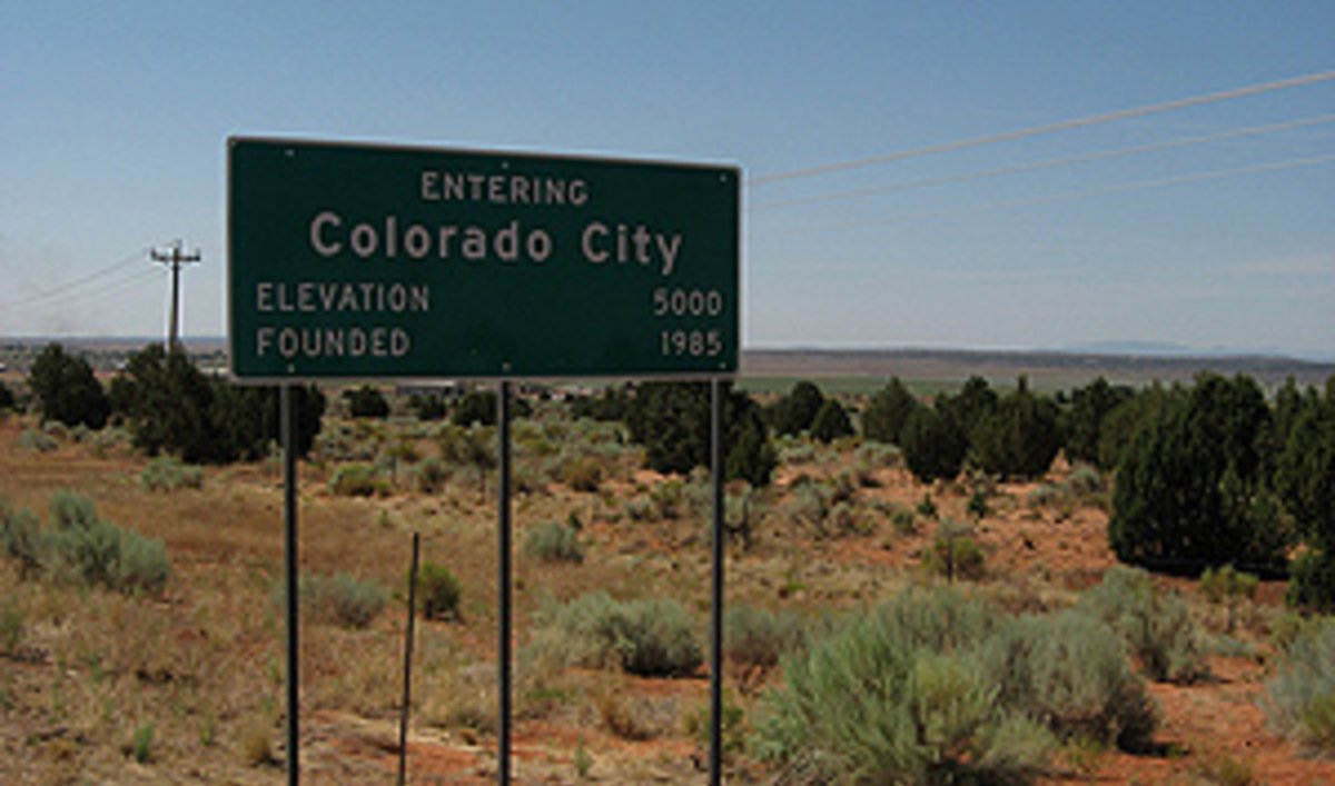 Polygamy In America The World From PRX