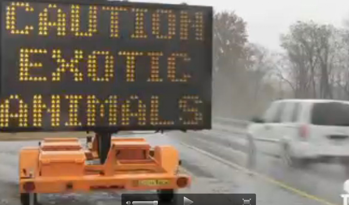 Zanesville exotic animals to be returned to Terry Thompson’s widow